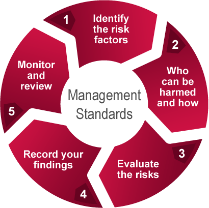 risk standards management stress assessment hse monitor regulations care medical safety safe equipment health stages risks customer nhs control related